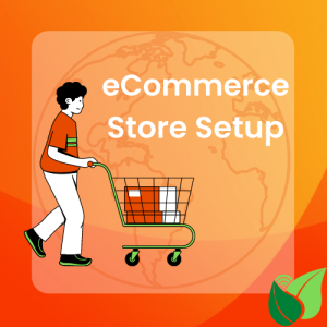 eCommerce Online Store Setup