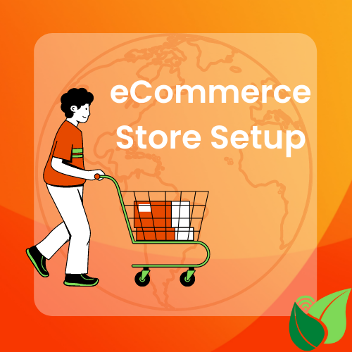 eCommerce Store Setup