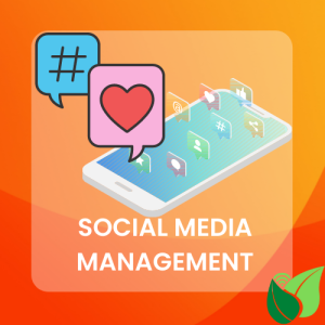 Social Media Management