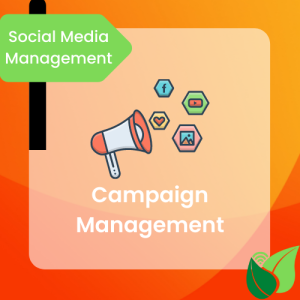 SMM Services - Campaign Management