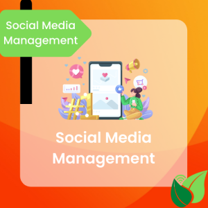 SMM Services - Social Media Management